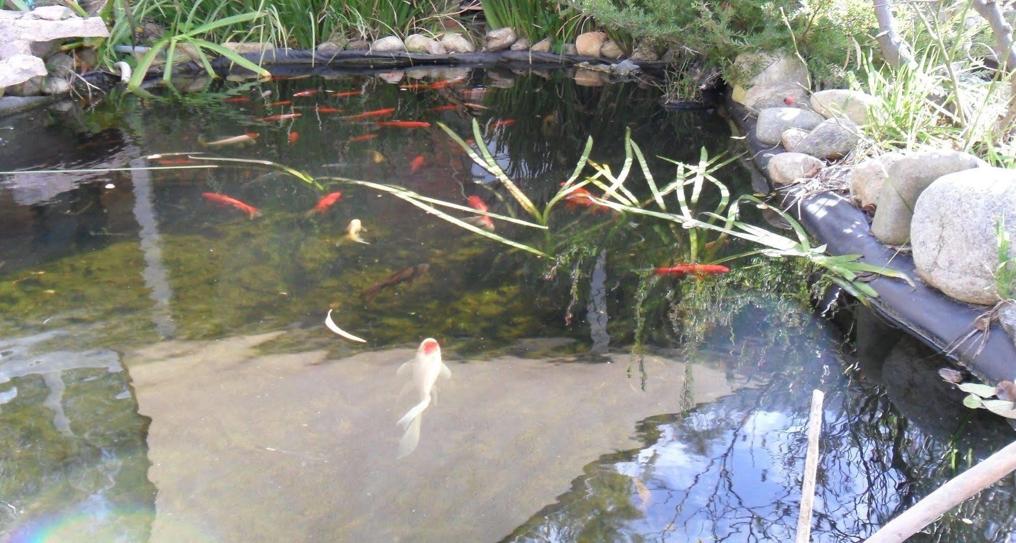 定居汽车旅馆 德尼利昆 外观 照片